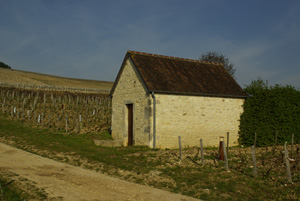 Shelter in the Chablis vineyards © Multimdia & Tourisme